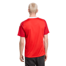 Manto Flamengo Goleiro 3 Adidas 2025