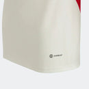 Camisa 2023/24 Treino