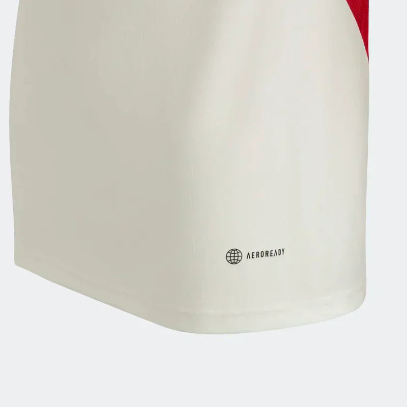 Camisa 2023/24 Treino