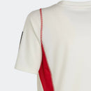 Camisa 2023/24 Treino