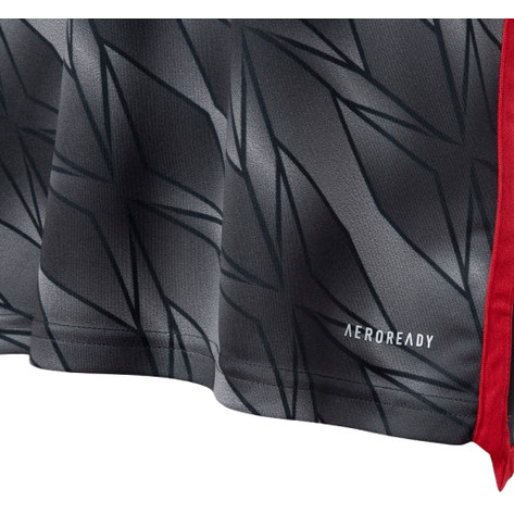 Manto Flamengo Infantil Jogo 3 Adidas 2024